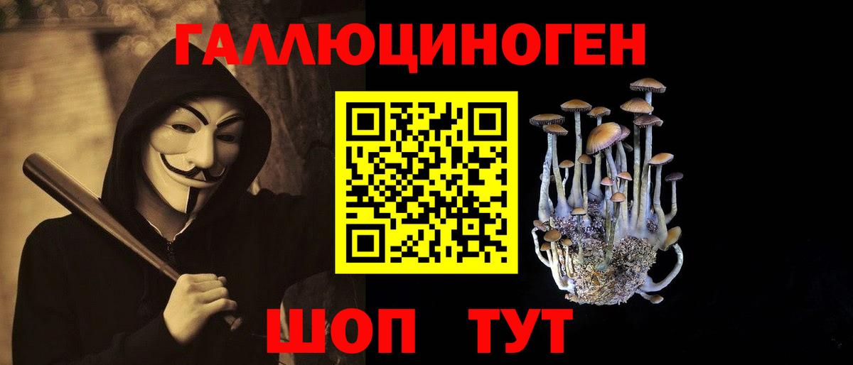 Псилоцибиновые грибы GOLDEN TEACHER  Вход с VPN  Саров 