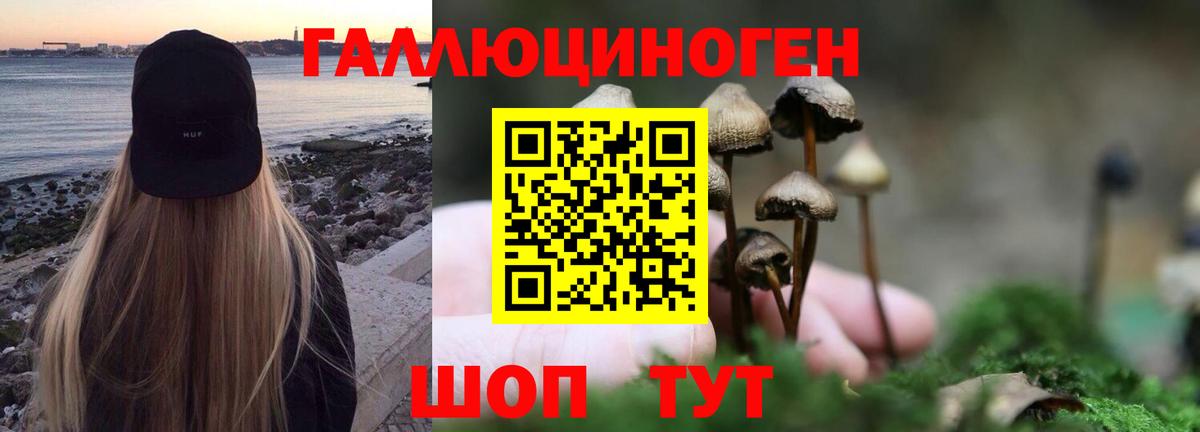 Псилоцибиновые грибы ЛСД Саров